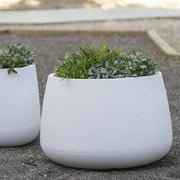 Jardineras Camelia - Vetonek