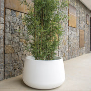 Jardineras Camelia - Vetonek