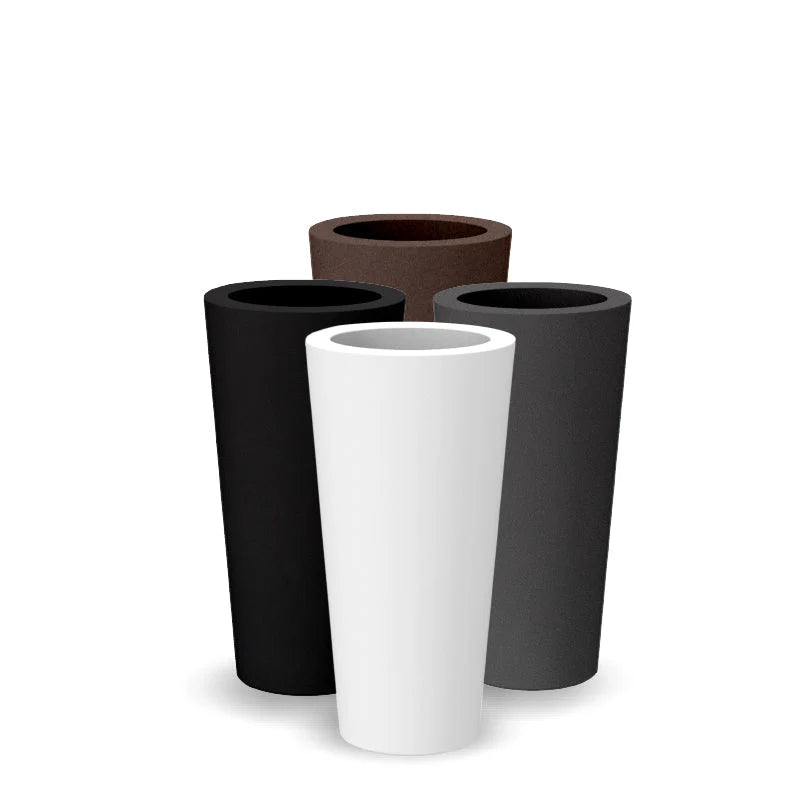 Macetero Ficus - Vetonek