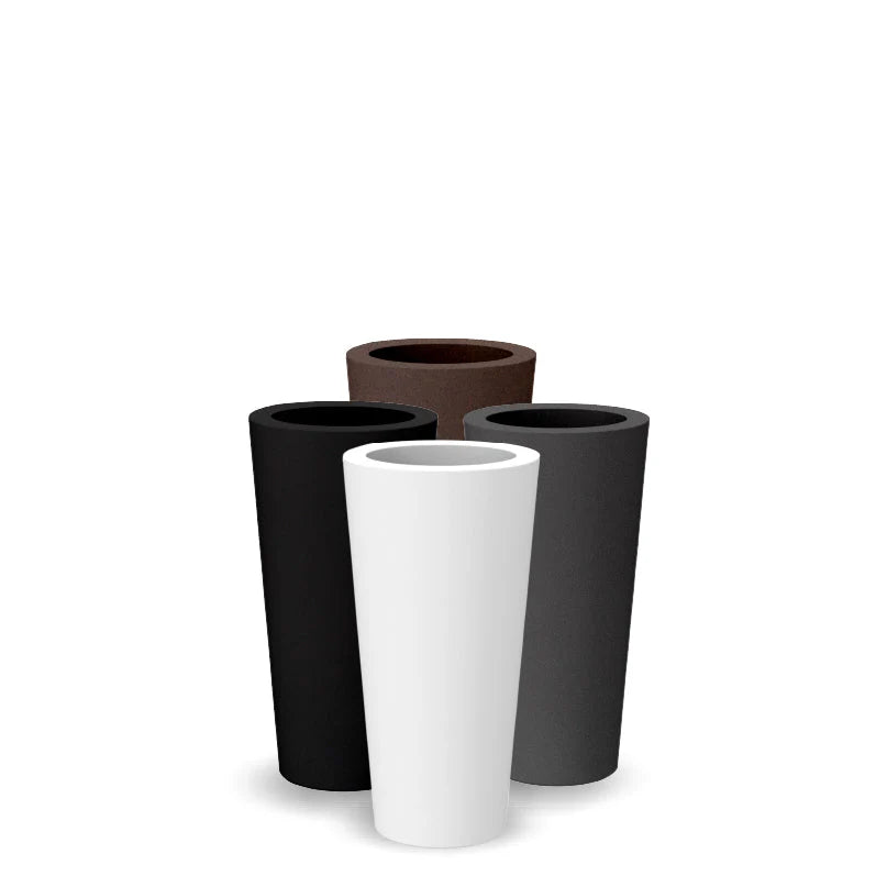 Macetero Ficus - Vetonek