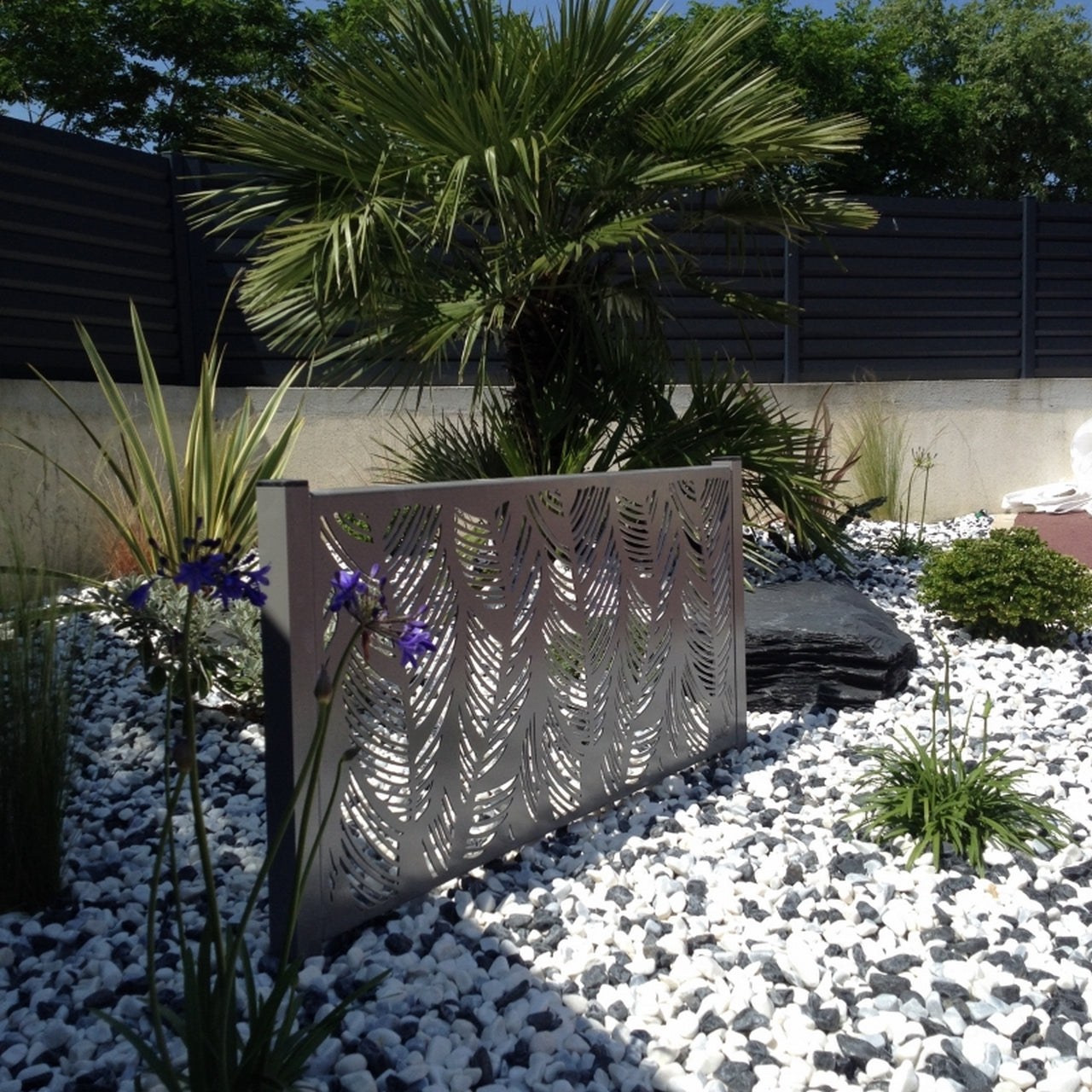 Canto rodado Dalmata Vetonek