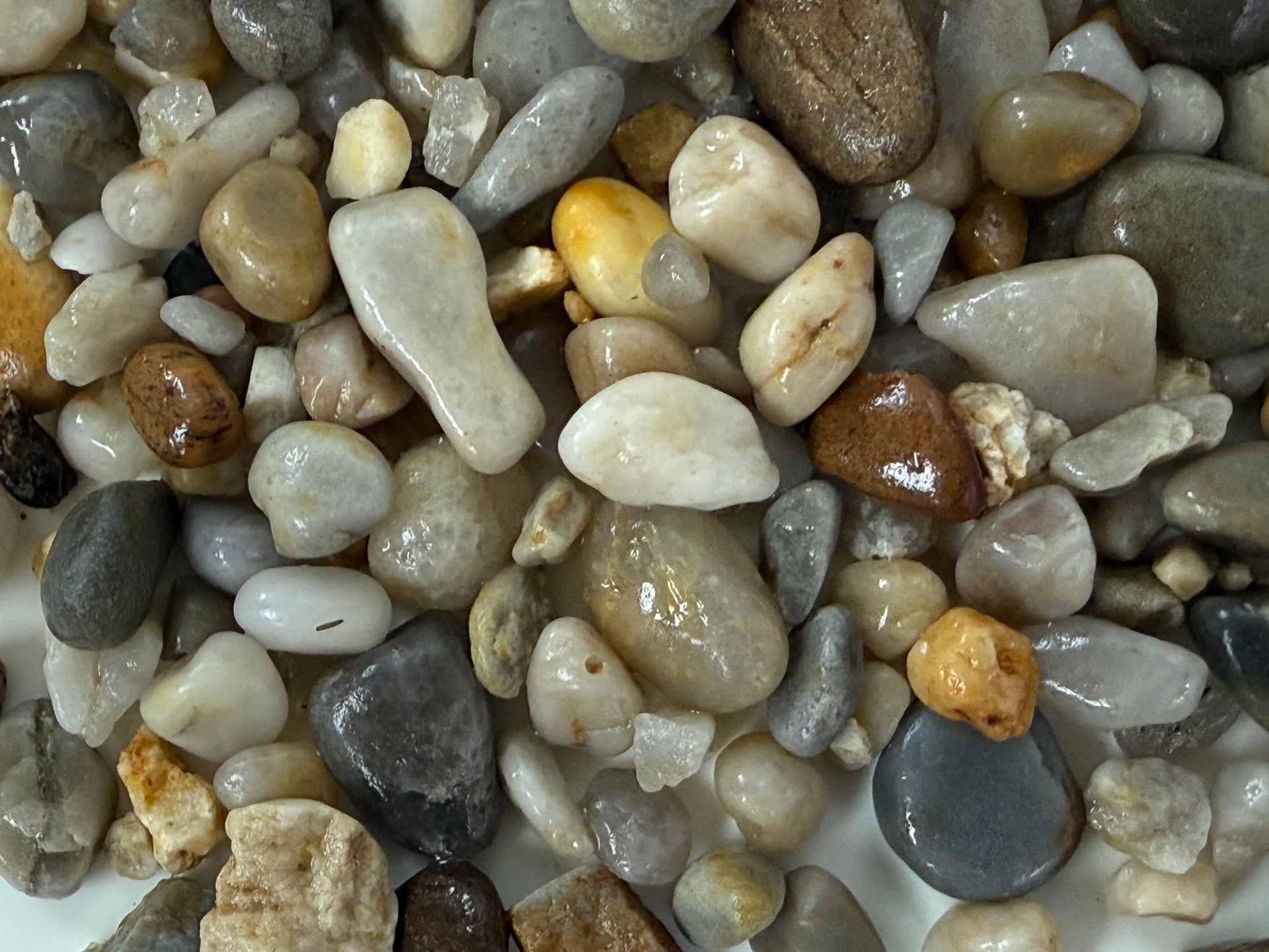 Canto rodado Sagres - Vetonek