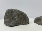 Bolos decorativos para acuarios Alpino - Vetonek