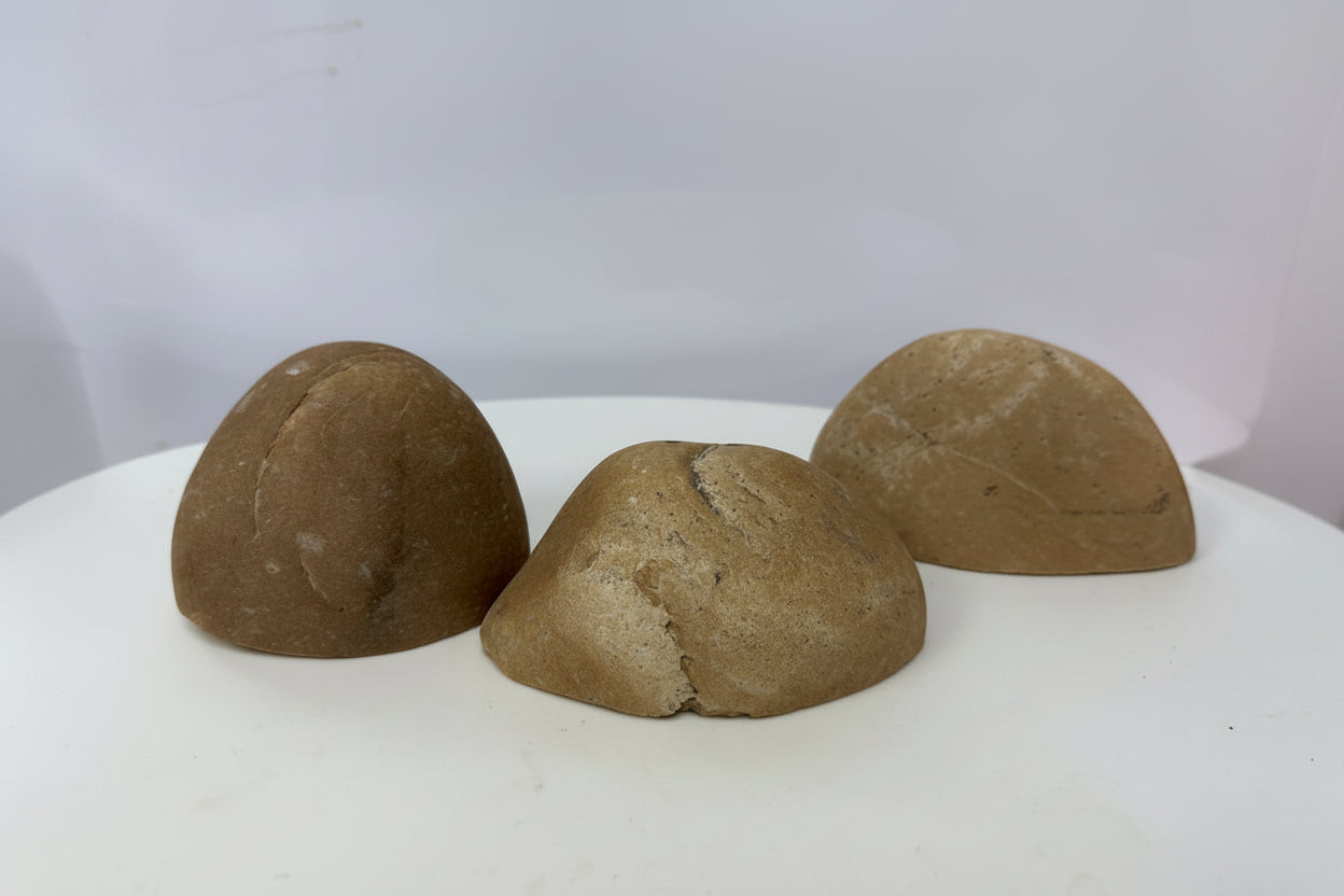 Bolos decorativos para acuarios Alpino - Vetonek