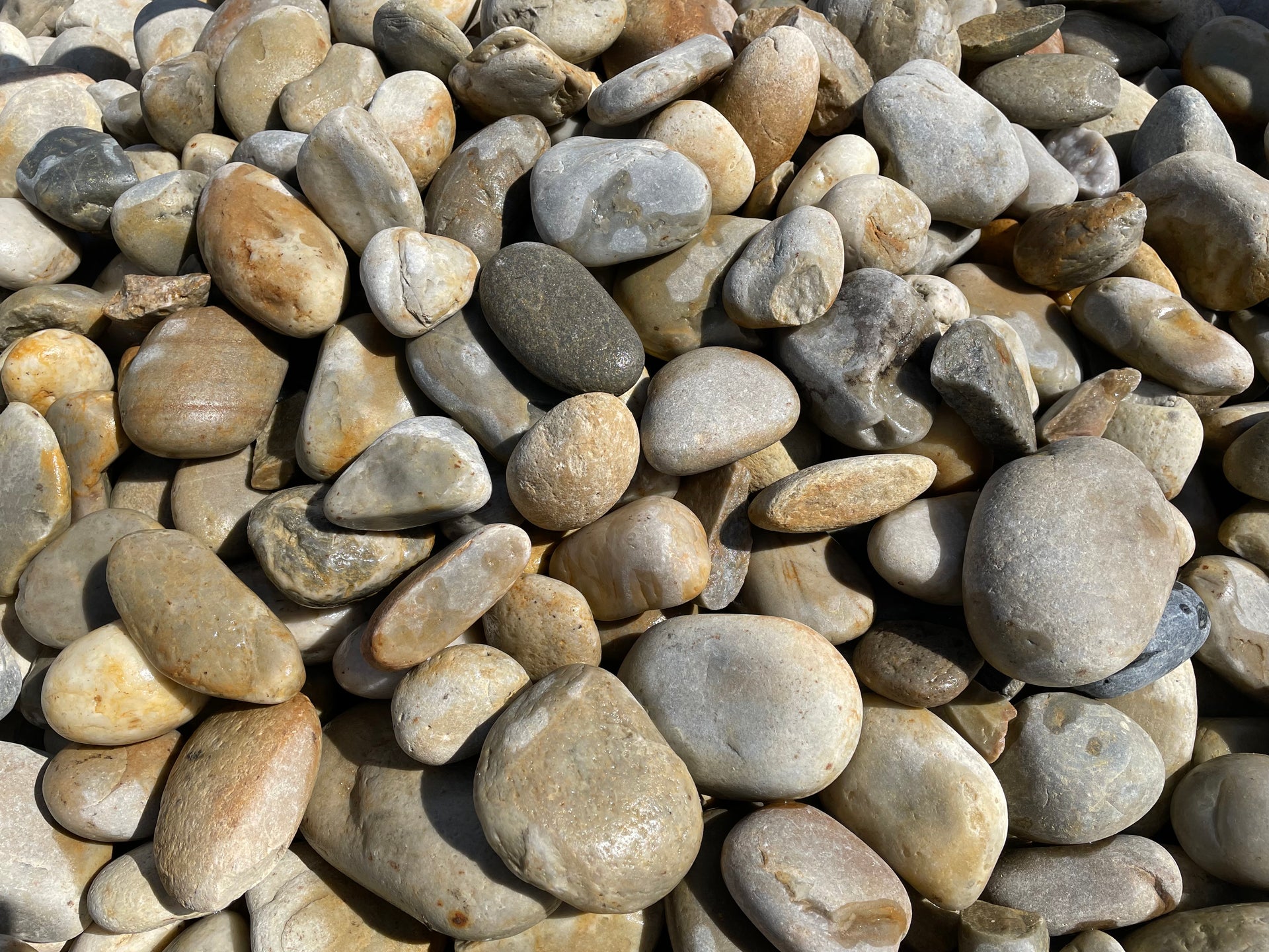 Canto rodado Sagres - Vetonek