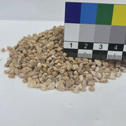 Árido proyectado mortero monocapa para fachadas - Vetonek