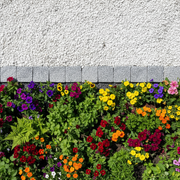 Adoquines Granito gris rústico - Vetonek