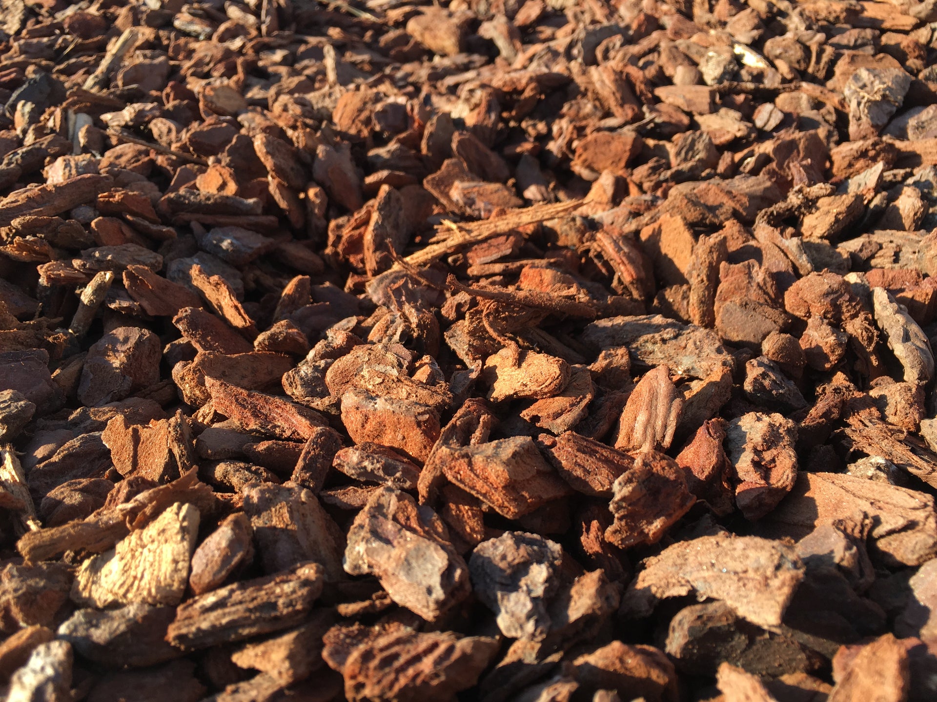 Corteza pino decorativa - Vetonek