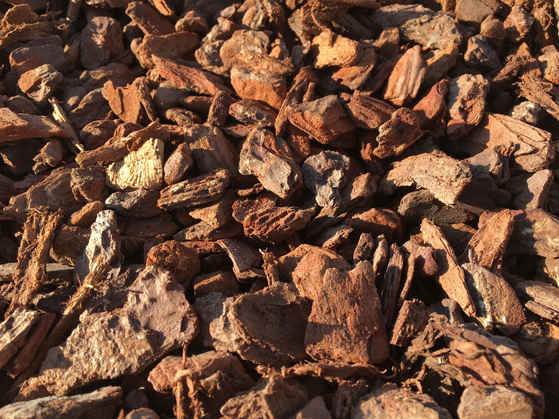 Corteza pino decorativa - Vetonek