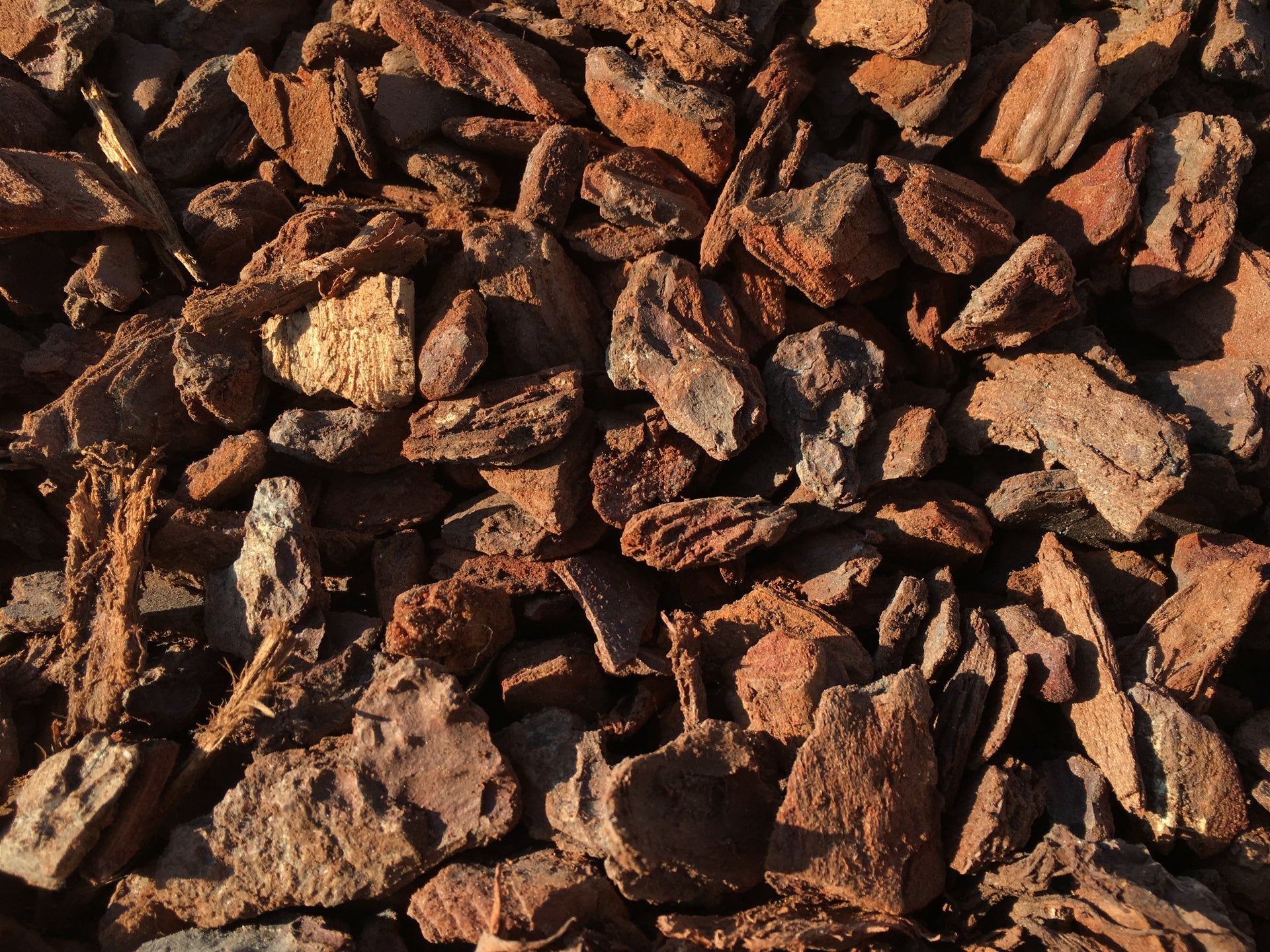 Corteza pino decorativa - Vetonek