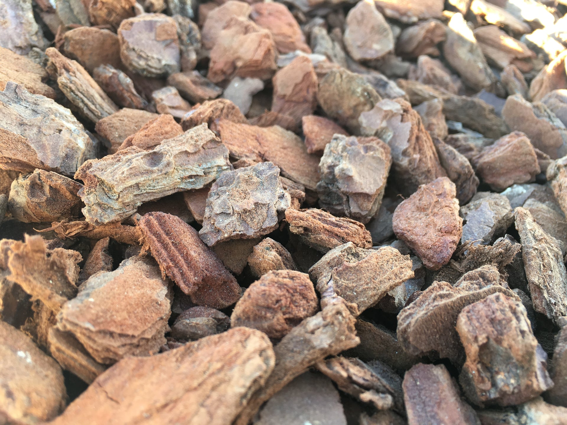 Corteza pino decorativa - Vetonek