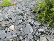 Pizarra Redondeada - Vetonek