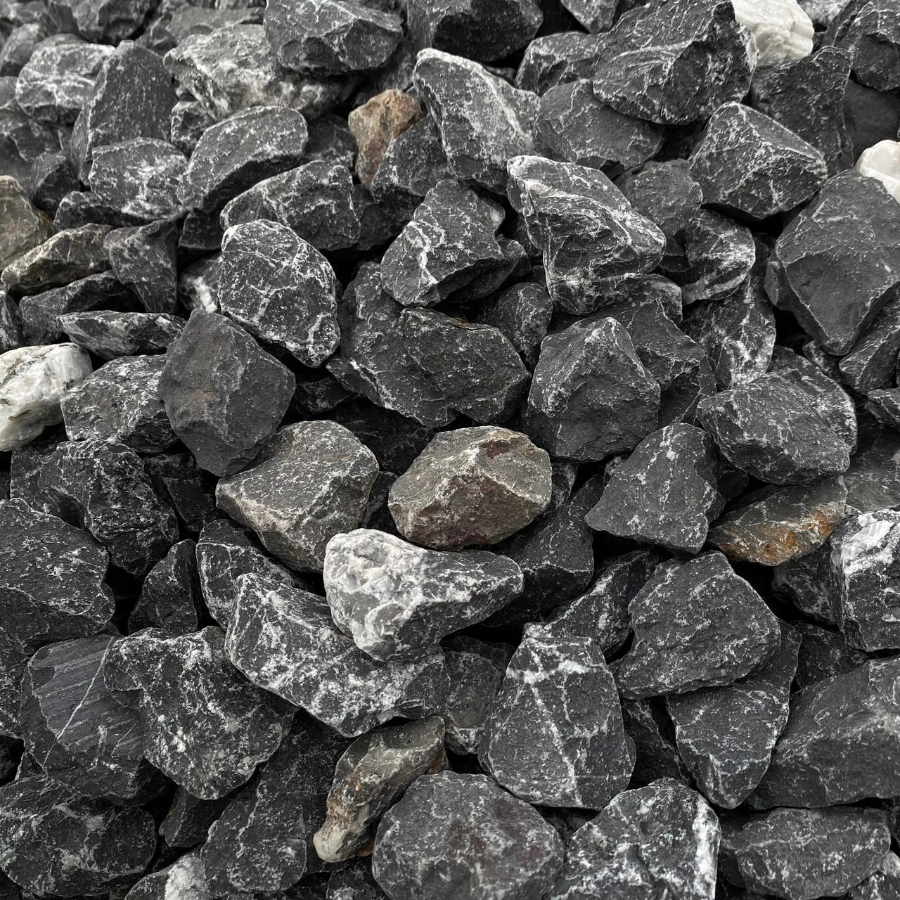 Grava Electric - Vetonek