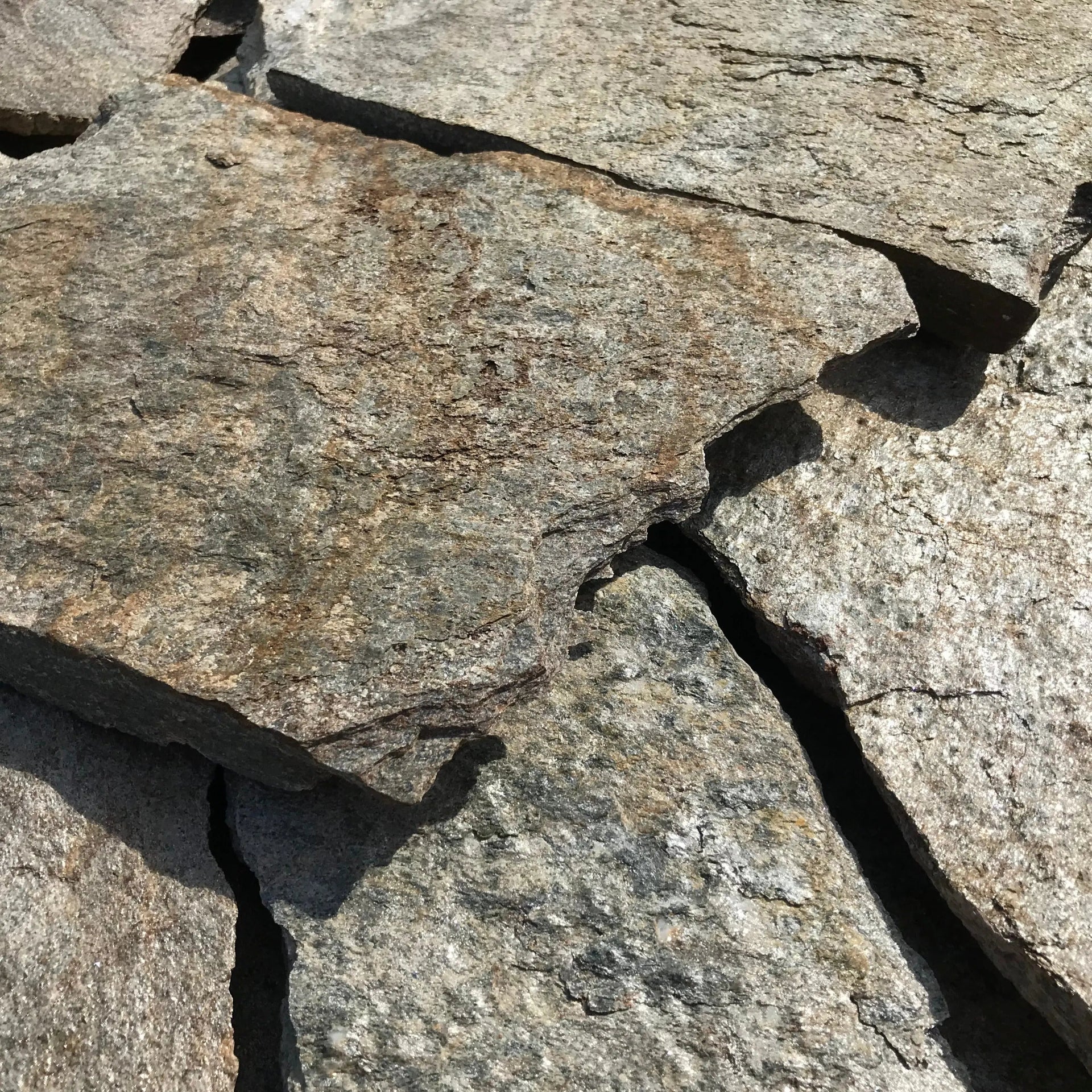 Planchoncillo Plata Bicolor Vetonek