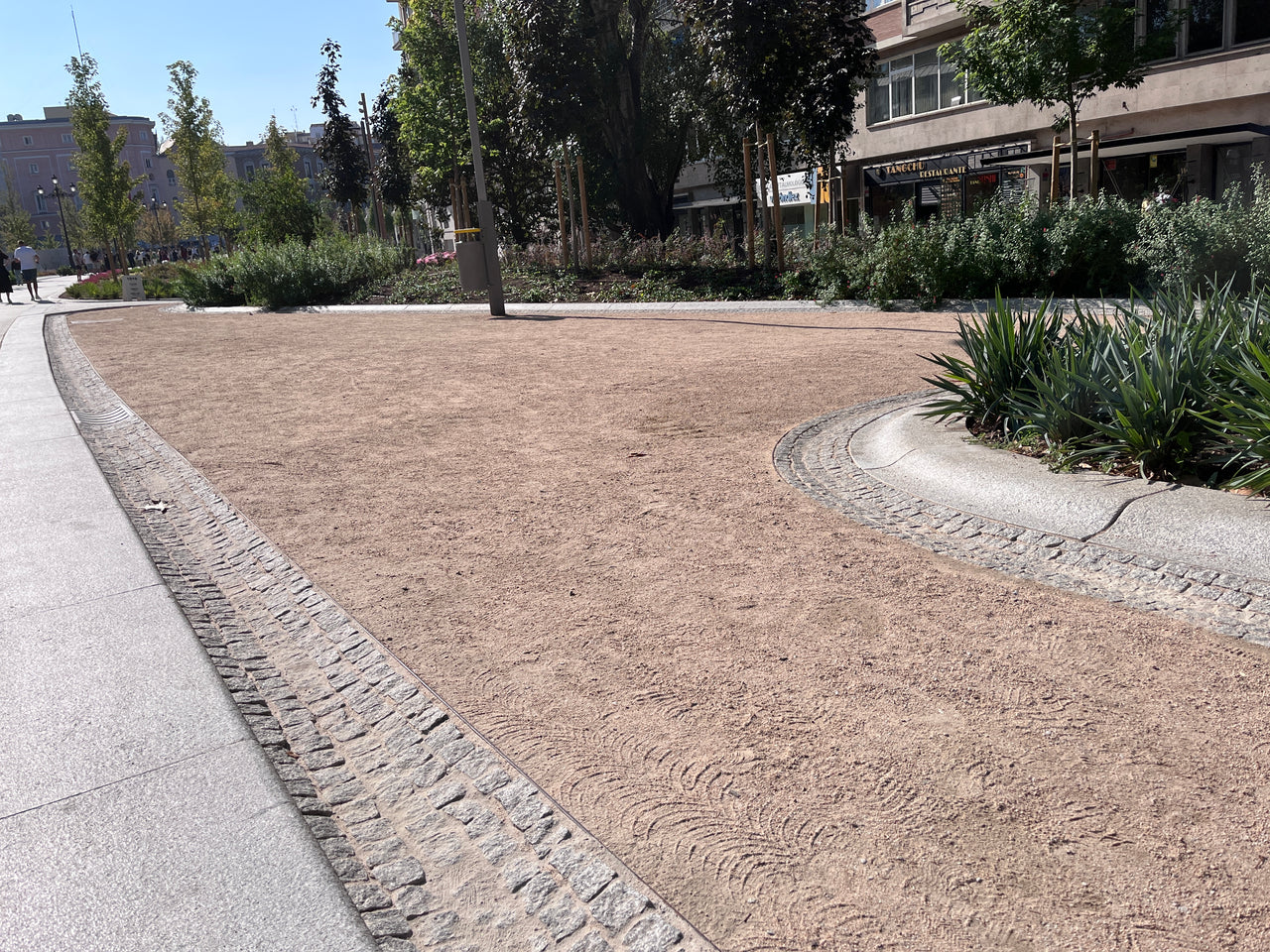 Jabre o Sauló, estabilizador suelos - Vetonek