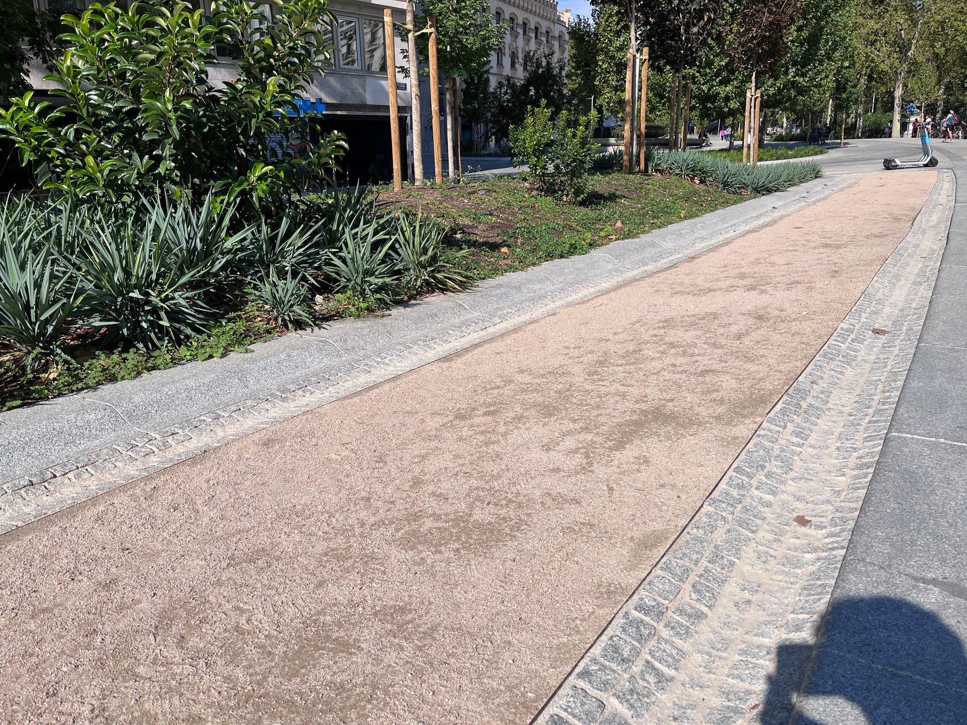 Jabre o Sauló, estabilizador suelos - Vetonek