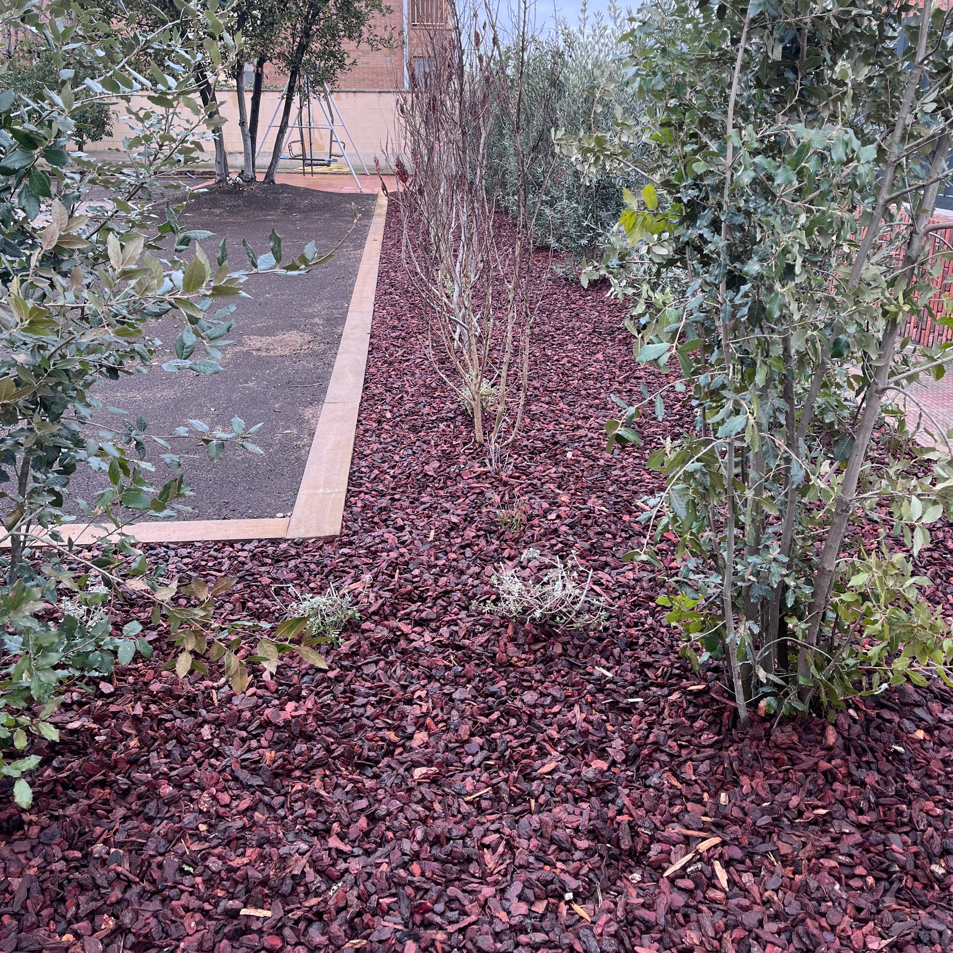 Corteza pino decorativa - Vetonek