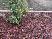 Corteza pino decorativa - Vetonek