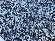 Grava Mixcolor Dálmata Vetonek