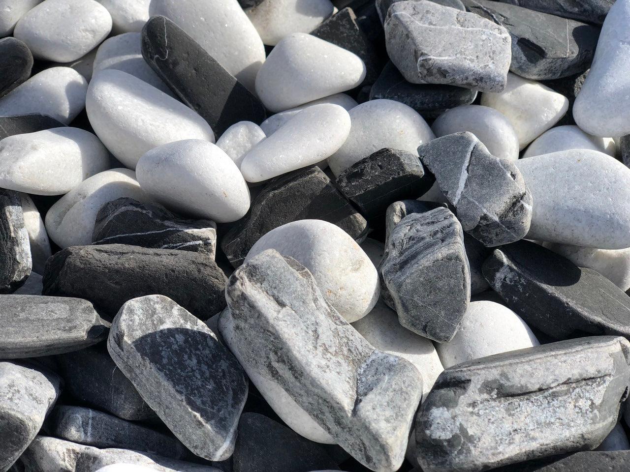 Canto rodado Dalmata Vetonek