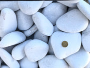 Canto rodado Blanco Premium Vetonek