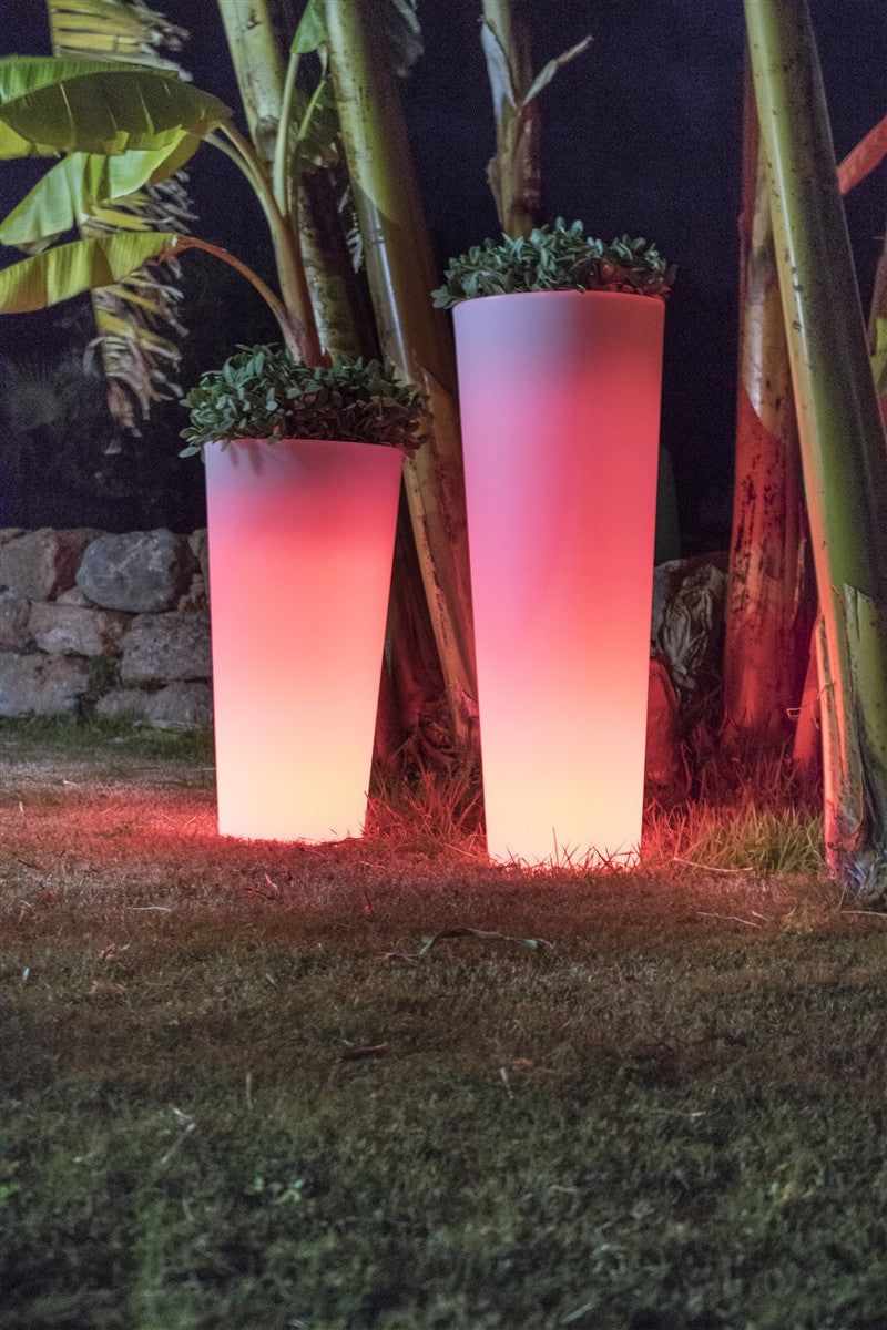 Macetero Ficus - Vetonek