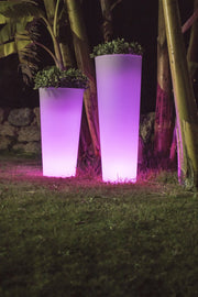 Macetero Ficus - Vetonek