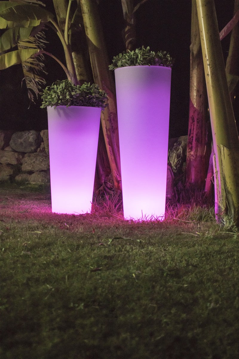 Macetero Ficus - Vetonek