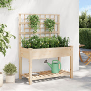 Plantador de Jardín con Enrejado y Estante 115x59x152 cm de Madera Maciza de Pino V0593 Vetonek
