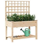 Plantador de Jardín con Enrejado y Estante 115x59x152 cm de Madera Maciza de Pino V0593 Vetonek
