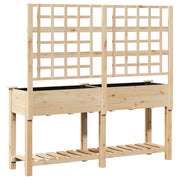 Plantador de Jardín con Enrejado y Estante 161x43x152 cm Madera Maciza de Pino V0609 Vetonek