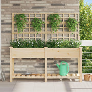 Plantador de Jardín con Enrejado y Estante 161x43x152 cm Madera Maciza de Pino V0609 Vetonek