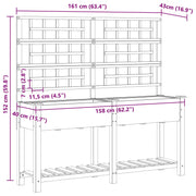 Plantador de Jardín con Enrejado y Estante 161x43x152 cm Madera Maciza de Pino V0609 Vetonek