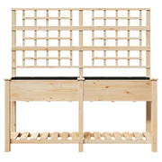 Plantador de Jardín con Enrejado y Estante 161x43x152 cm Madera Maciza de Pino V0609 Vetonek