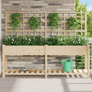 Macetero con Enrejado y Estante 203x53x152 cm de Madera Maciza de Pino V0616 Vetonek