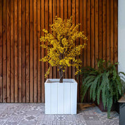 Macetero Olivo - Vetonek