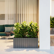 Macetero Olivo - Vetonek