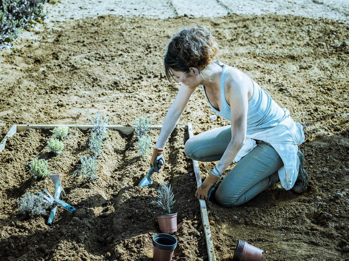 Trasplantador Bellota 3001 en uso plantando en una maceta