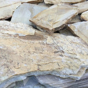 Planchoncillo Amarillo Vetonek