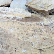 Planchoncillo Amarillo Vetonek