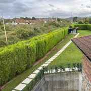 Losa Cuadrada 75x75 cm Vetonek