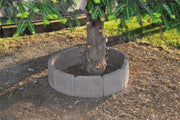 Alcorque Agoncillo en jardín rústico