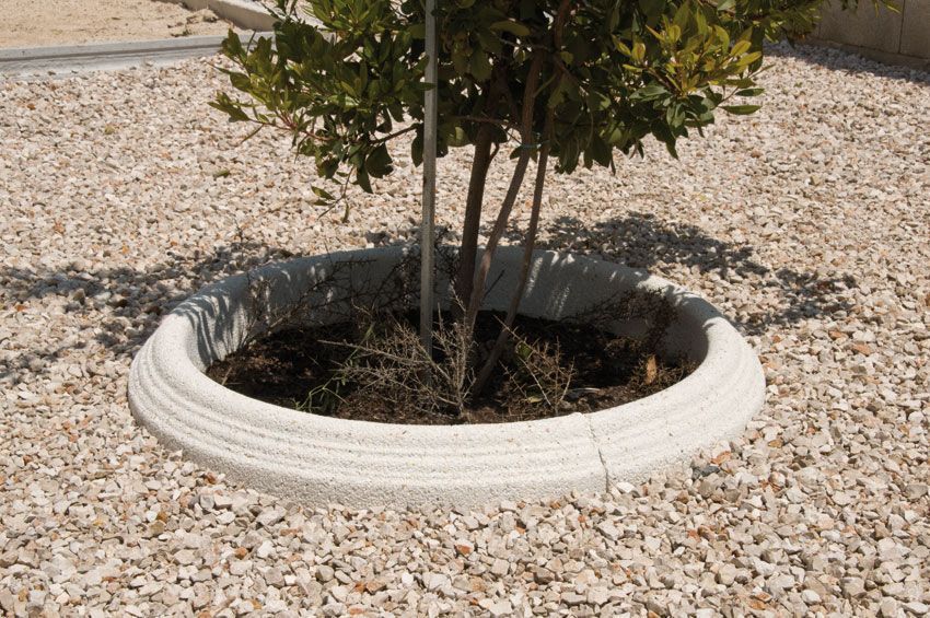 Alcorque Alberite de hormigón blanco rodeando un árbol