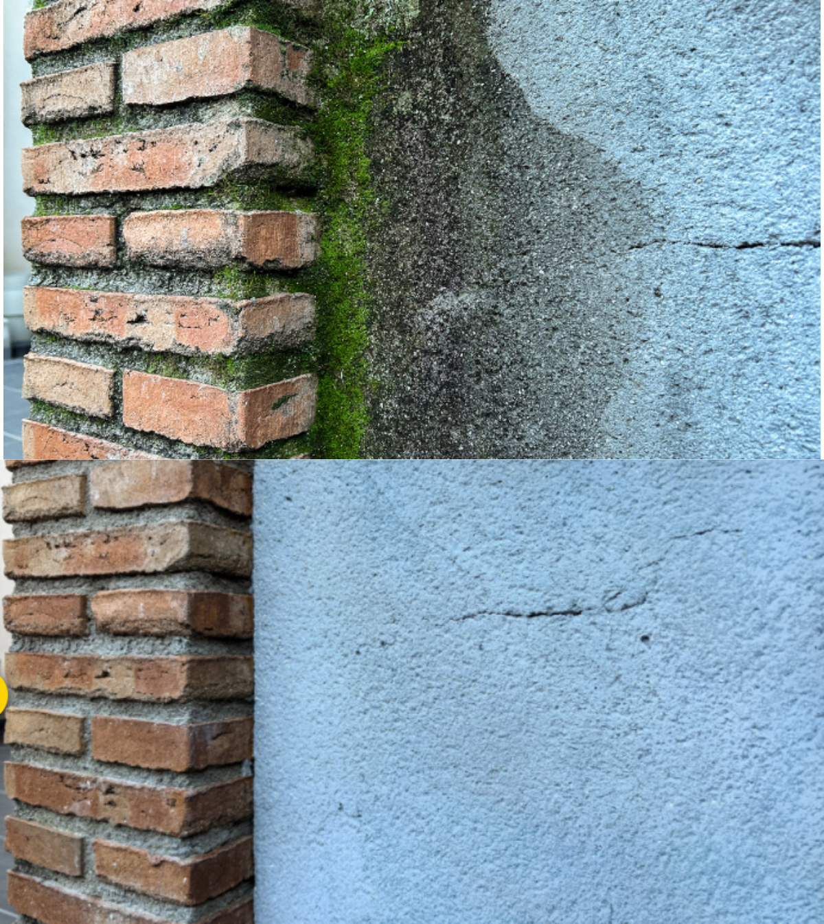 Antes y despues Algacid