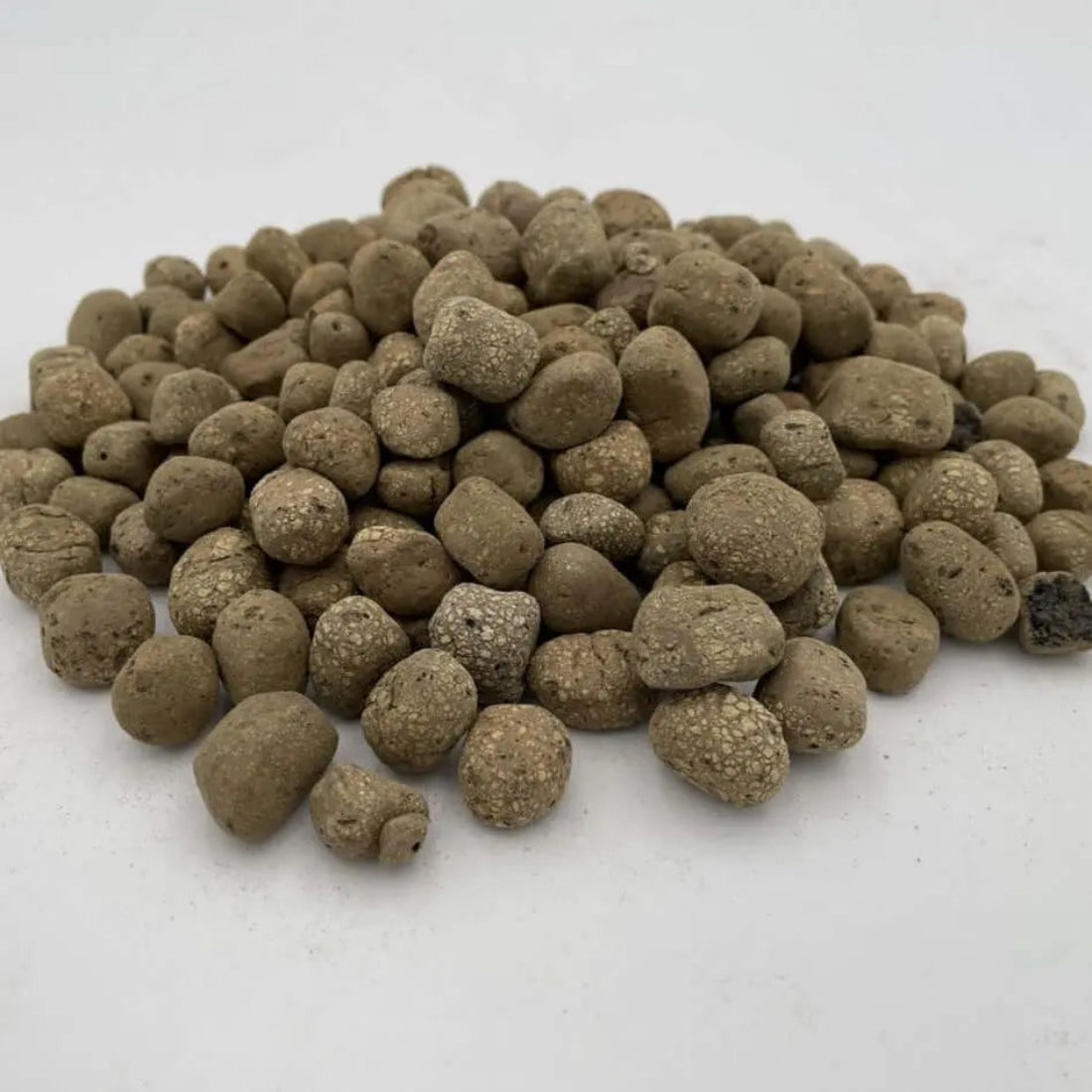 Arcilla expandida Argilestone - Vetonek