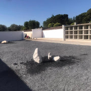 Grava Pizarra Decorativa - Vetonek