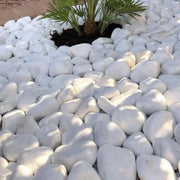 White Pebble Premium Gabions - Vetonek