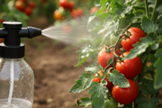 caolin agricola protector calor y plagas ecologic