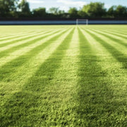 Sustrato para Césped Deportivo Premium Vetonek