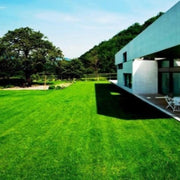 Semillas para césped especializadas por uso y zona - Vetonek